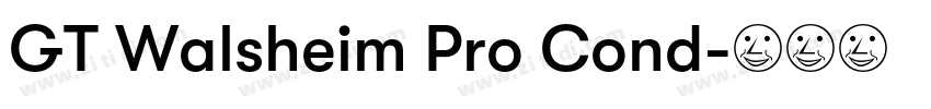 GT Walsheim Pro Cond字体转换